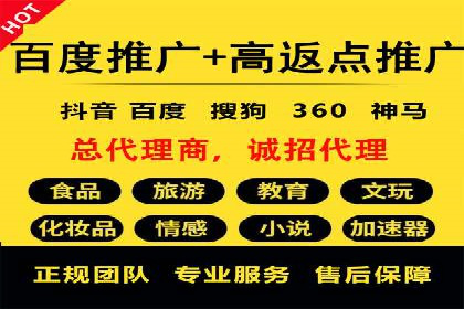 谷歌SEM与移动端优化：某APP的推广策略及效果